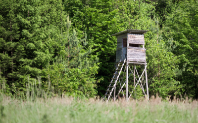  MN-Hunting-Property